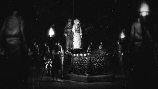 FATAL FRAME MAIDEN OF BLACK WATER SWITCH easy video game