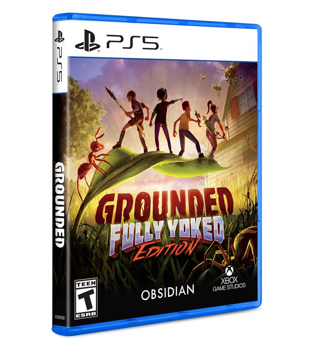 GROUNDED FULLY YOKED COLLECTOR'S EDITION