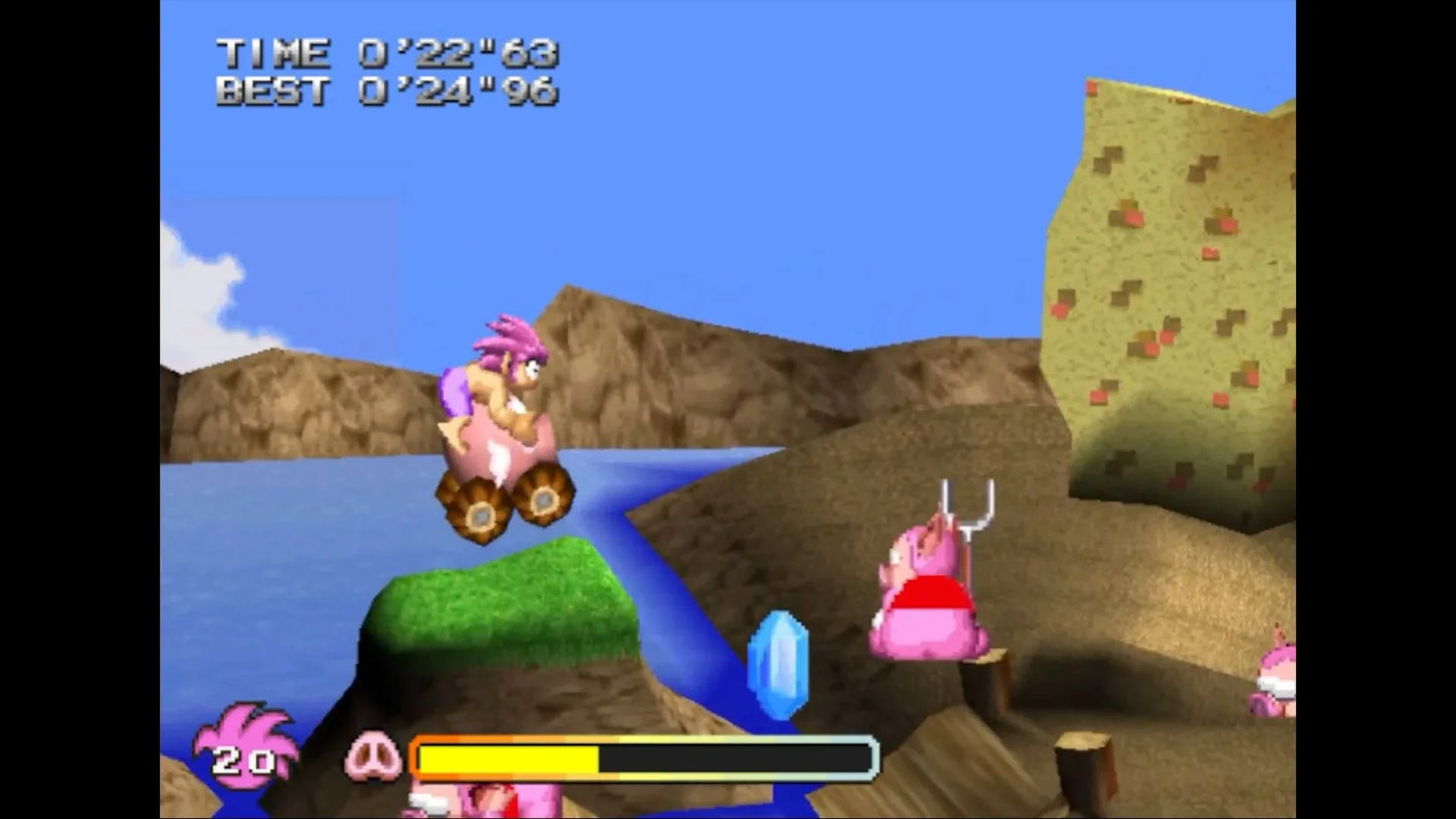 TOMBA COLLECTOR'S EDITION PS5 easy video game