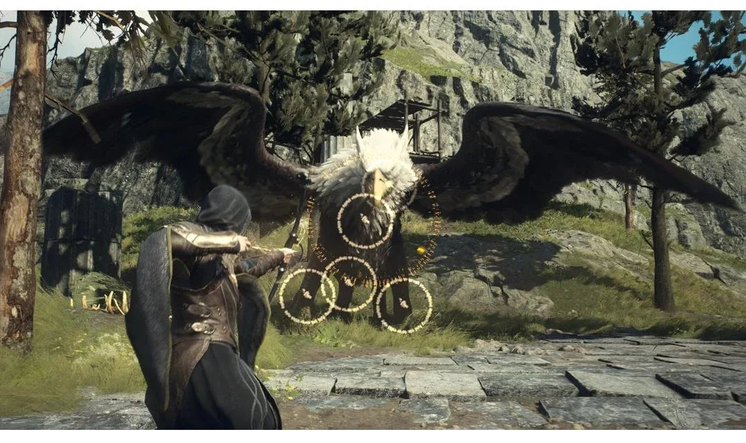 DRAGON'S DOGMA 2 PS5 easy video game