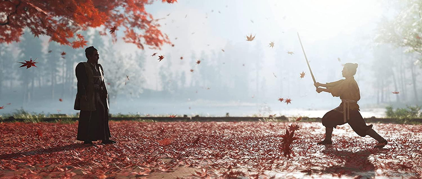 GHOST OF TSUSHIMA DIRECTOR'S CUT PS4 easy video game