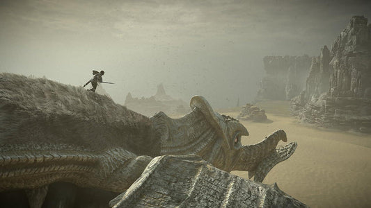 SHADOW OF THE COLOSSUS PS4 easy video game