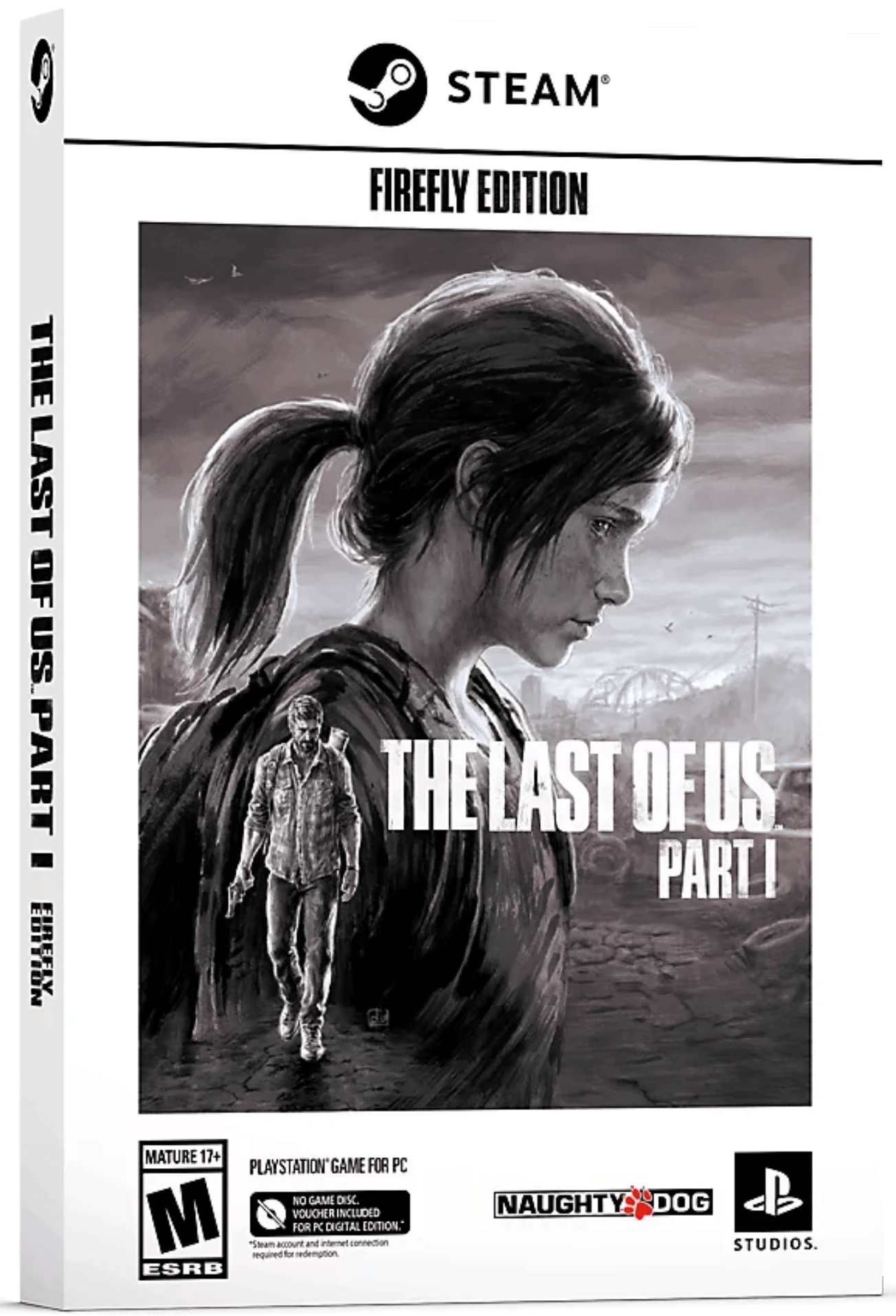 THE LAST OF US FIRE FLY PC - STEAM