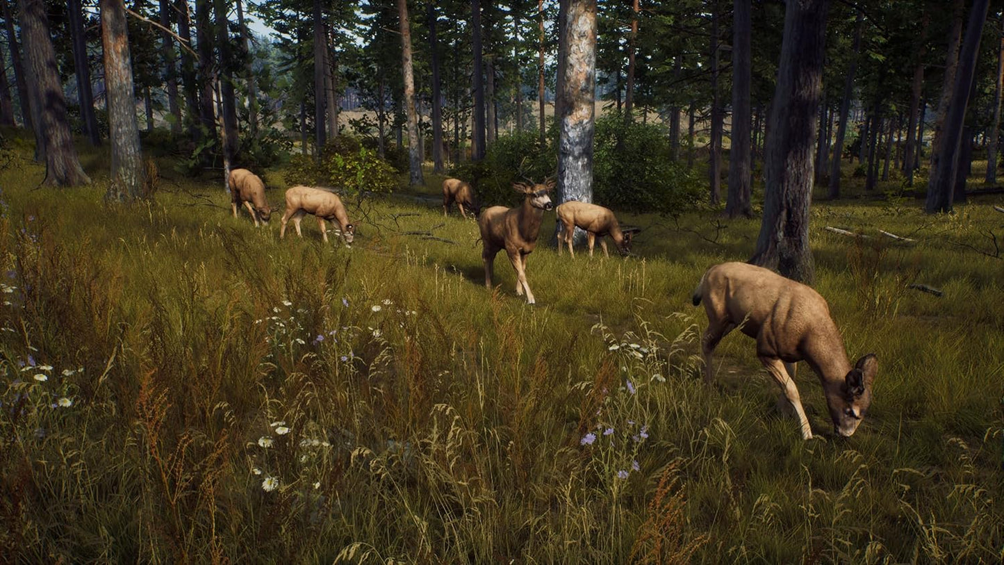 WAY OF THE HUNTER PS5