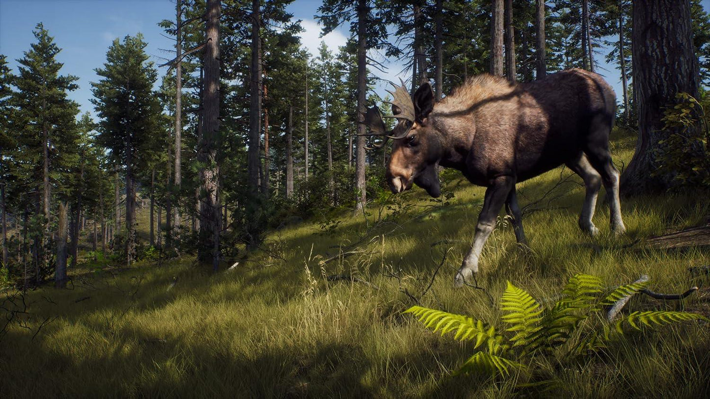 WAY OF THE HUNTER PS5 easy video game