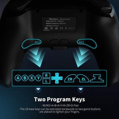 AceGamer 2 Pack Wireless Controller for Nintendo Switch/Lite/OLED AceGamer