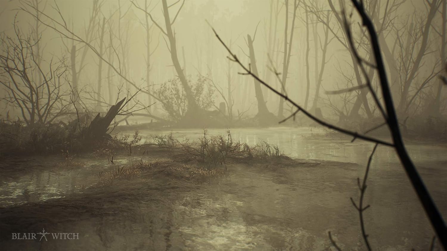 BLAIR WITCH PS4
