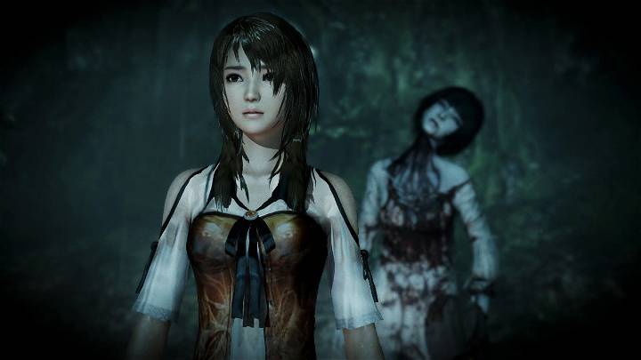 FATAL FRAME MAIDEN OF BLACK WATER SWITCH