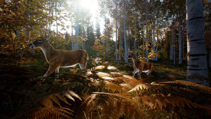 Hunting Simulator 2 (PS5) - PlayStation 5 Maximum Games