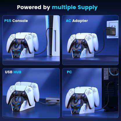 PS5 Controller Charger with Fast Charging AC Adapter, Dual Controller Charging Svetaecho