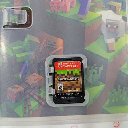 Minecraft Nintendo Switch