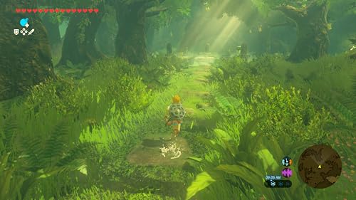 The Legend of Zelda: Breath of the Wild - For Nintendo Switch 2 Nintendo