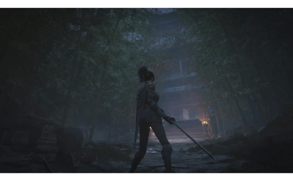 WUCHANG FALLEN FEATHERS PS5