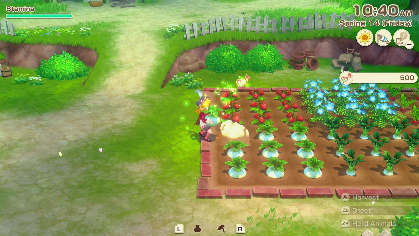 XSEED Games STORY OF SEASONS: Grand Bazaar - Nintendo Switch 2 Xseed Games