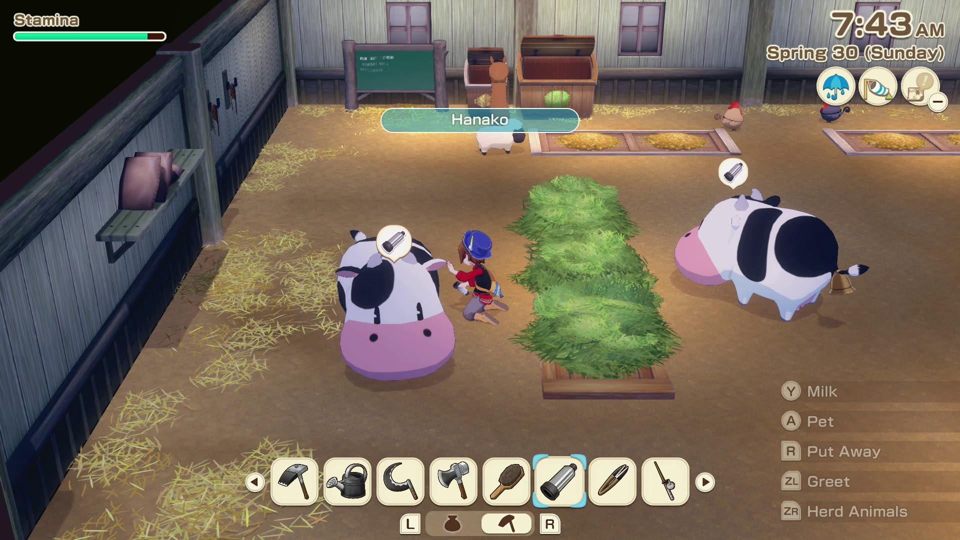 XSEED Games Story of Seasons: Grand Bazaar - Nintendo Switch Xseed Games