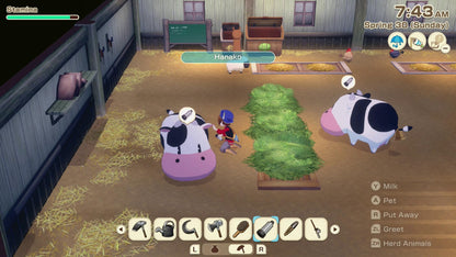 XSEED Games Story of Seasons: Grand Bazaar - Nintendo Switch Xseed Games