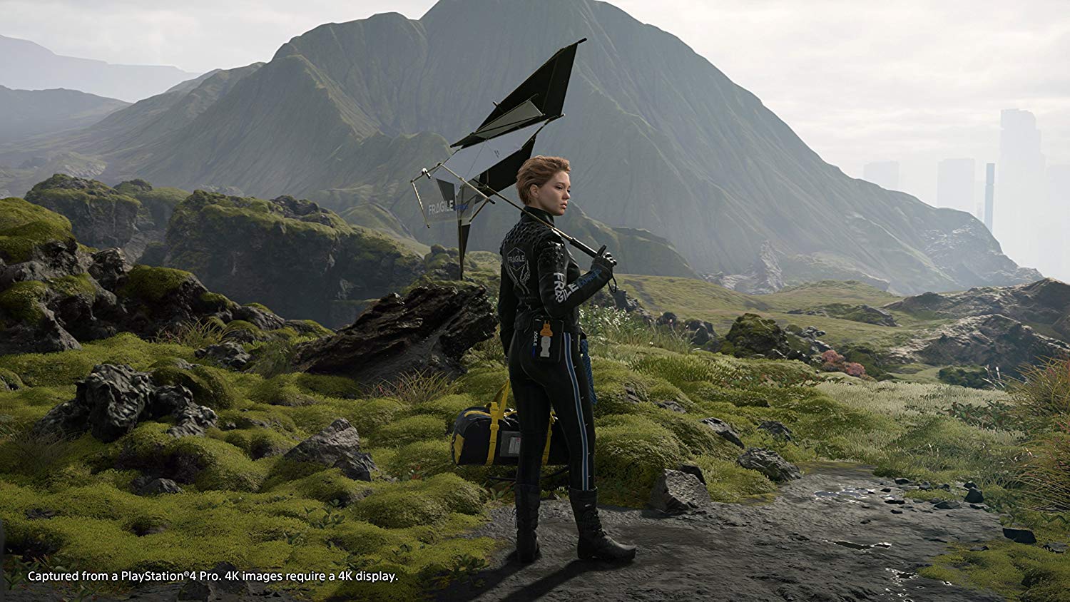 DEATH STRANDING EXCLUSIVE - PS4 - Easy Video Game