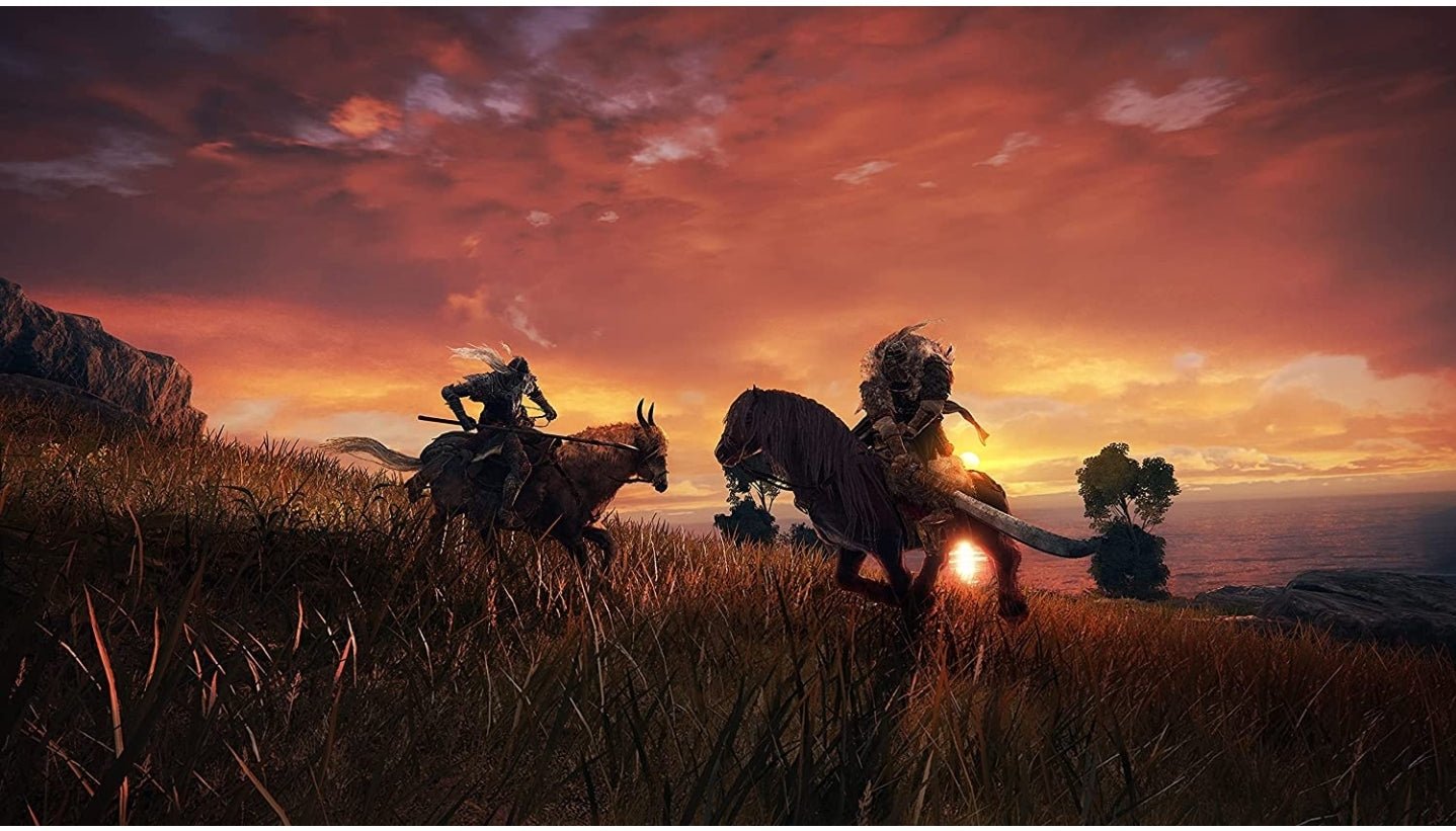 ELDEN RING PLAYSTATION 5 PS5