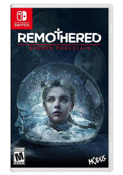 REMOTHERED BROKEN PORCELAIN SWITCH