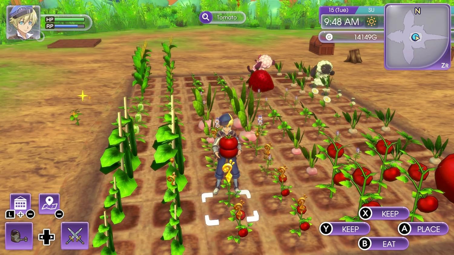 RUNE FACTORY 5 SWITCH