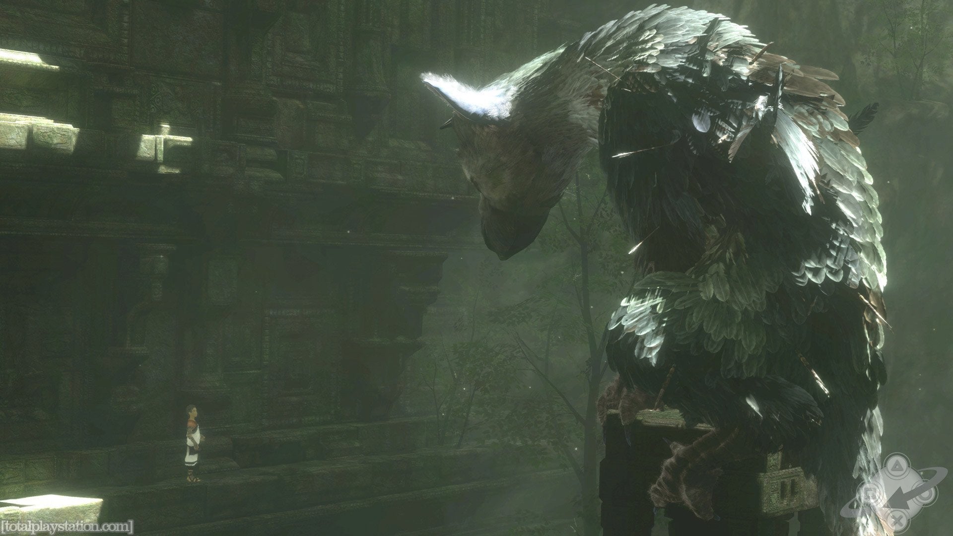 THE LAST GUARDIAN PS4 COLLECTORS * USADO - Easy Games