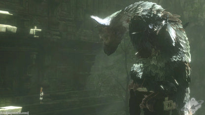 THE LAST GUARDIAN PS4 EXCLUSIVE - Easy Video Game