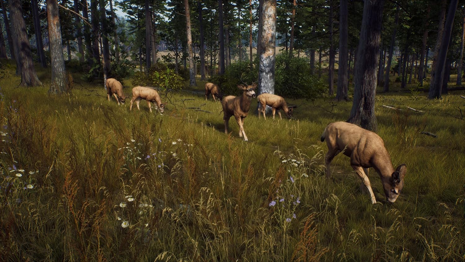 WAY OF THE HUNTER PS5