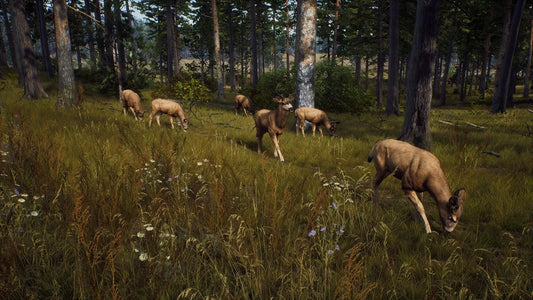 WAY OF THE HUNTER PS5
